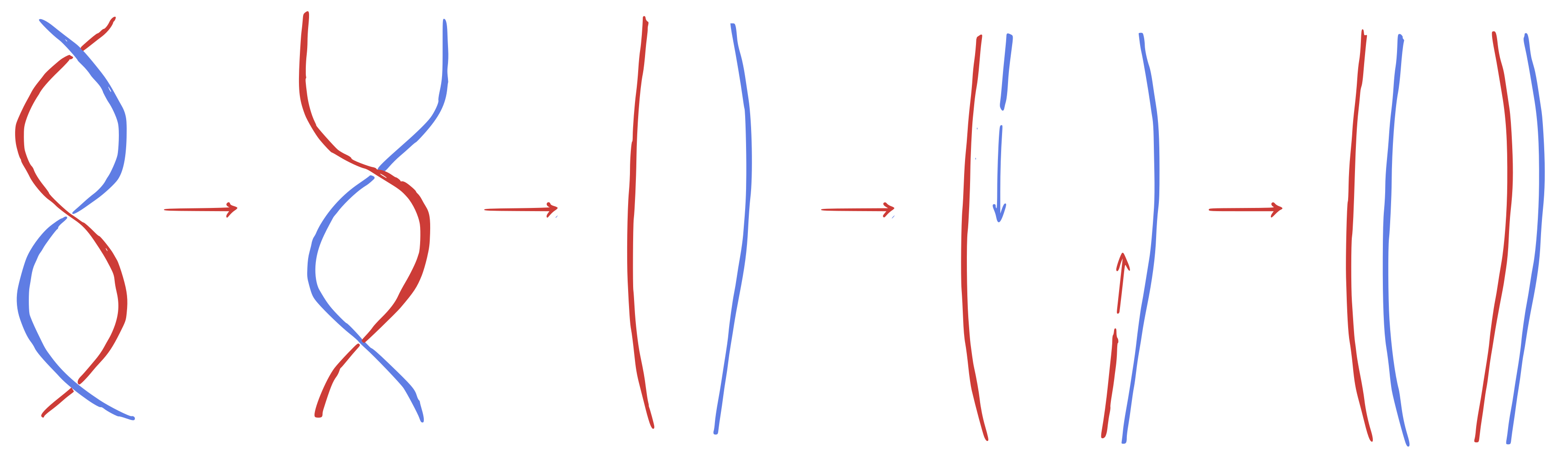 Proces replikácie znázornený na obrázku.